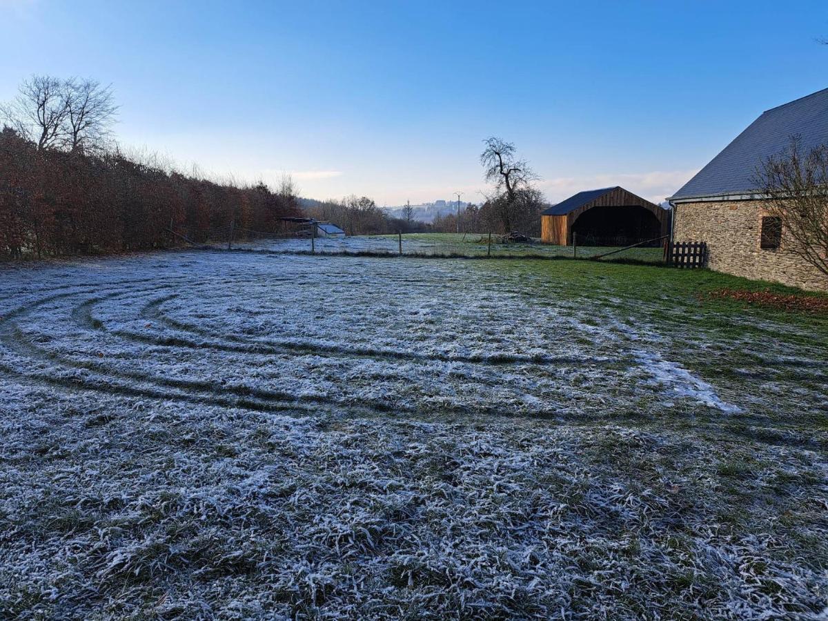Gite L'Olivier A Filly - Nadrin, Entre Houffalize Et La Roche-En-Ardenne ภายนอก รูปภาพ